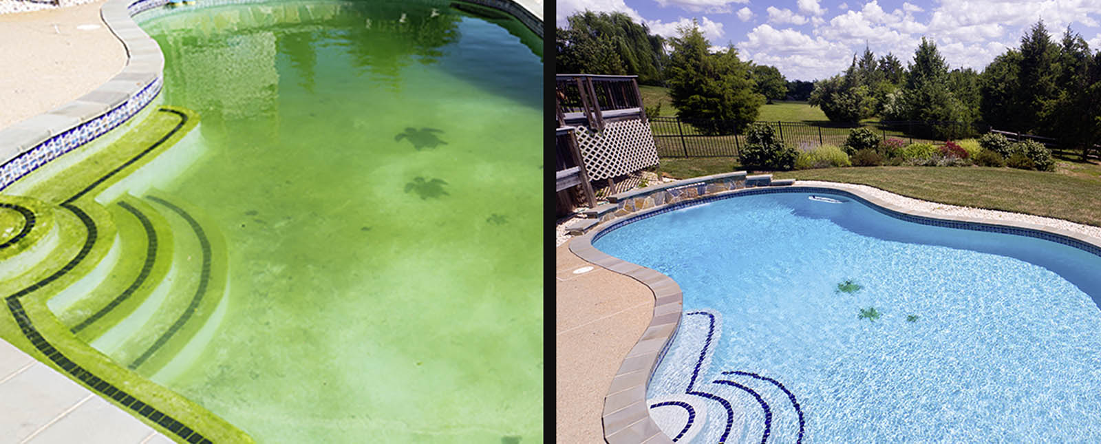 Ouvrir sa piscine au printemps : comment traiter une eau verte ?